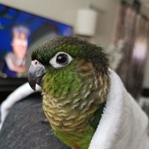 Meet your Posher, Laura